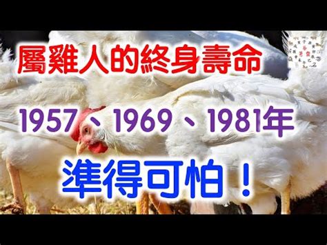 1981年五行屬什麼|【1981年五行屬什麼】速解1981年出生者生肖雞命運，一文揭曉。